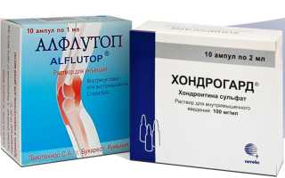 Алфлутоп или Хондрогард — что лучше?
