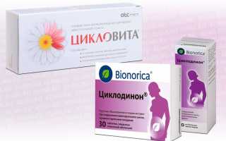 Цикловита или Циклодинон — в чем разница?