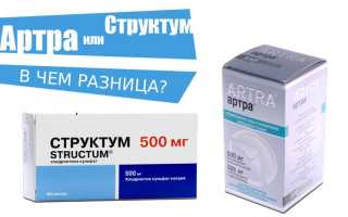 Артра или Структум — что лучше?