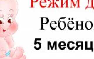 Режим дня ребенка в 5 месяцев – сон, кормление, прогулки, игры и развитие