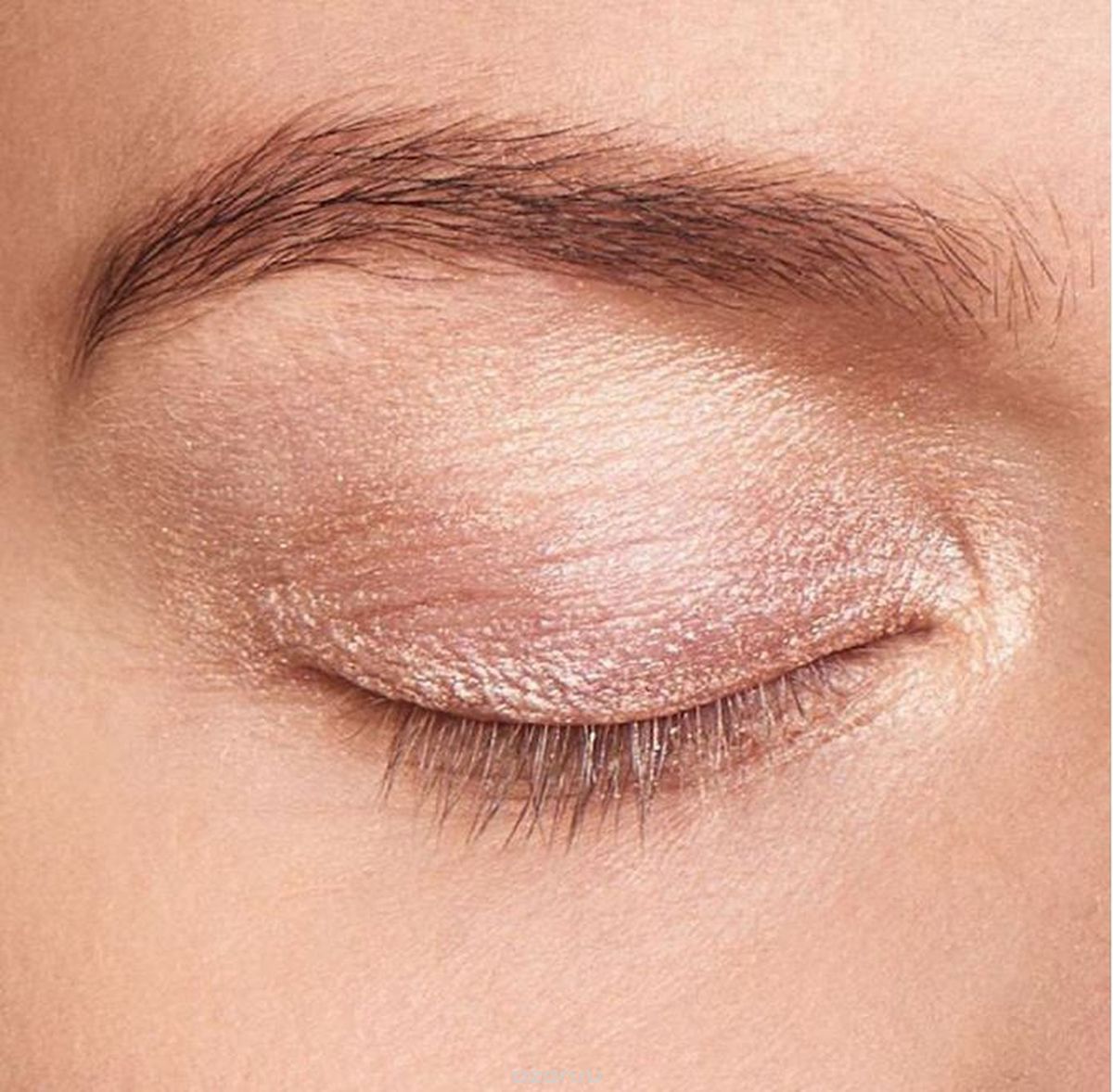 Строение век