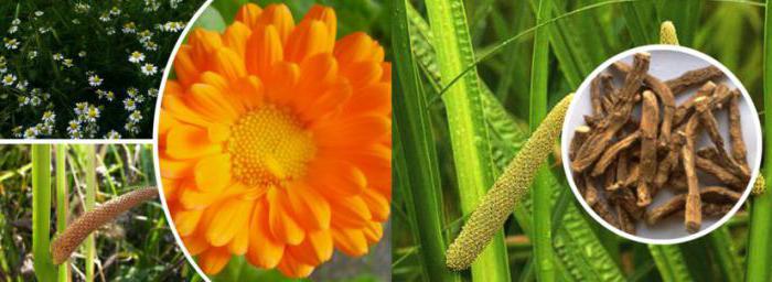 Корень аира и календула - настойка для глаз