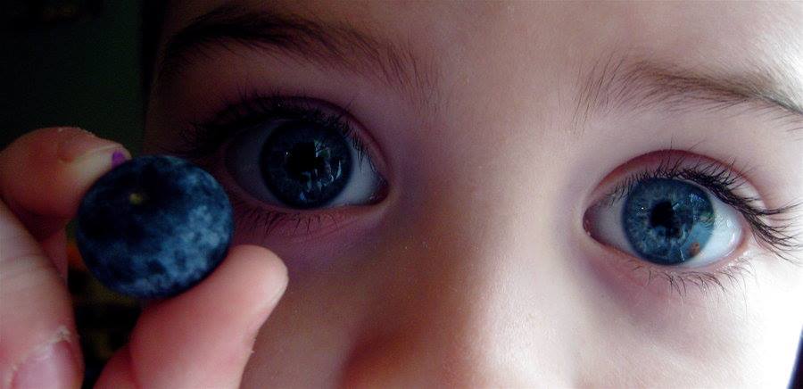 Польза черники для глаз и зрения