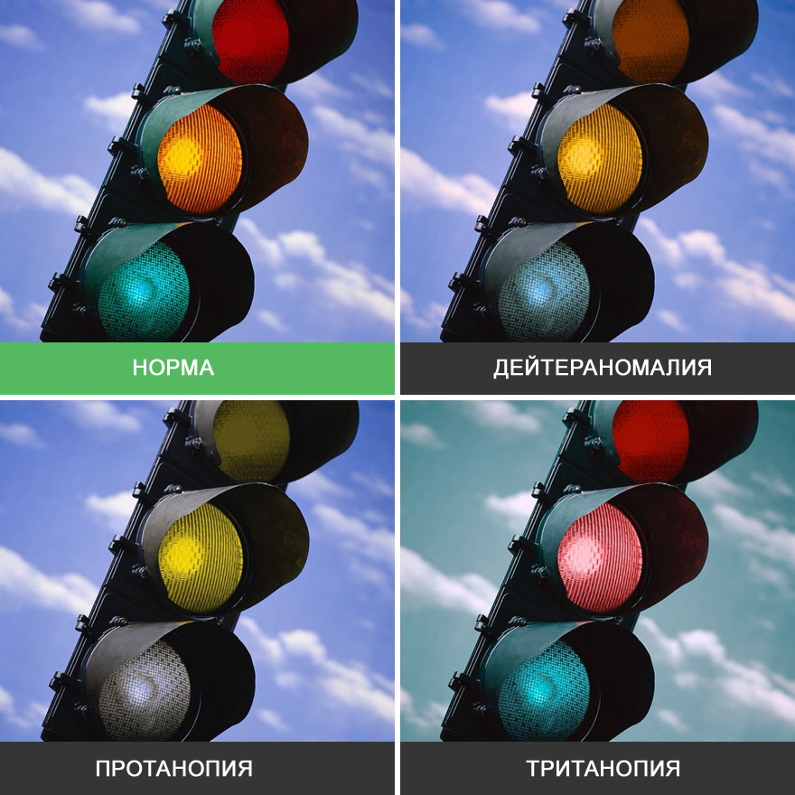 Какие цвета путают дальтоники - мир их глазами