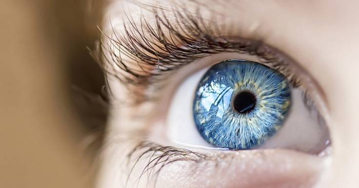 Голубой цвет глаз