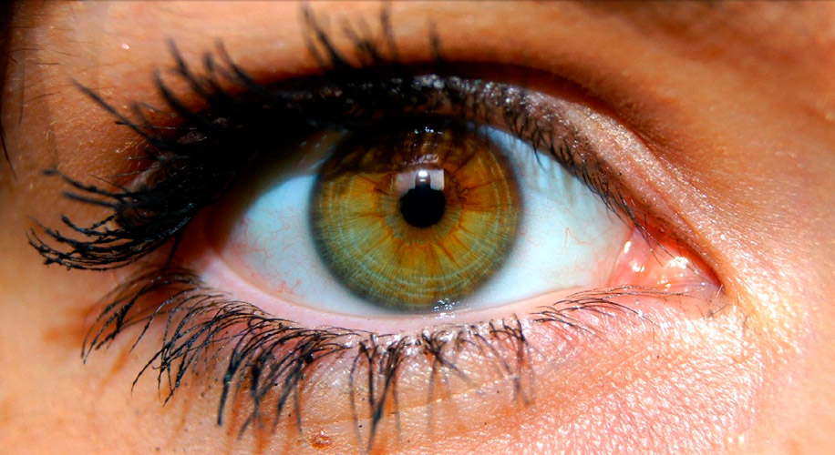 Зелено-карий цвет глаз