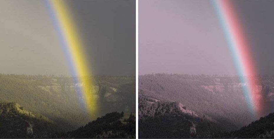 Возможно ли полностью вылечить дальтонизм
