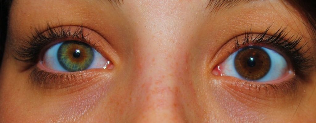 От чего зависит цвет глаз у человека