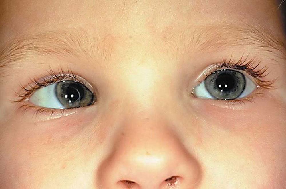 Классификация