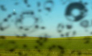 Мушки в глазах - что это и как от них избавиться