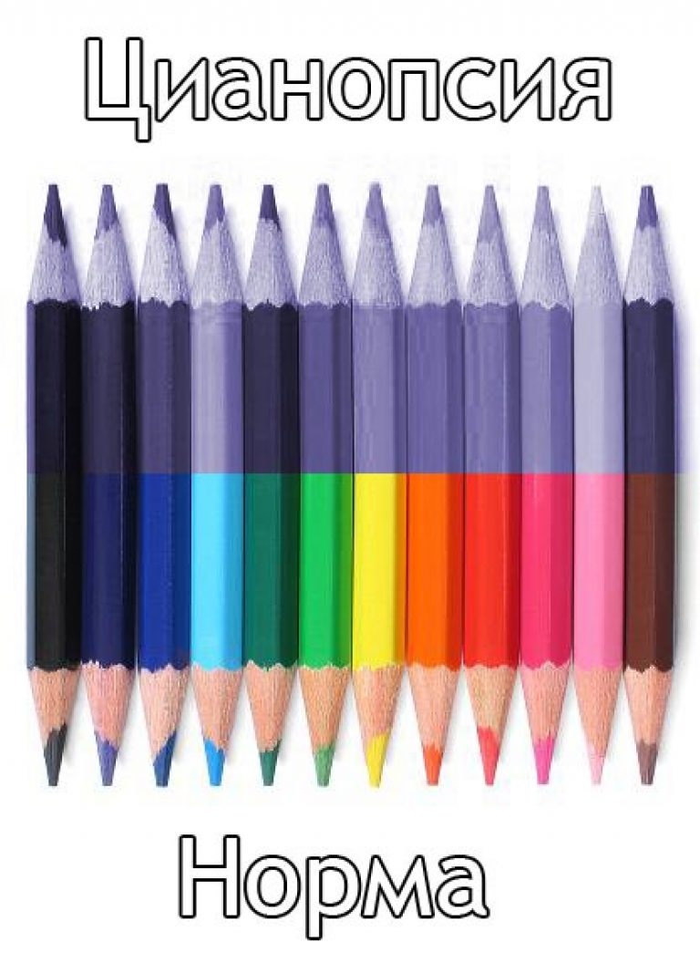 Какие цвета путают дальтоники - мир их глазами