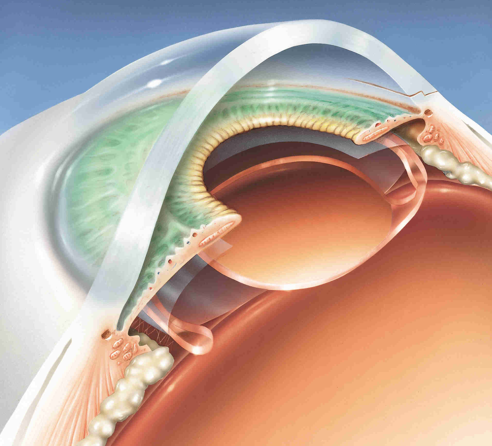 Стоимость имплантации