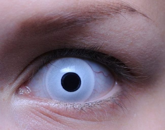 Декоративные