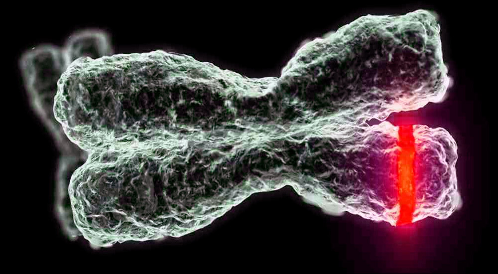 Как определить дальтонизм у взрослого человека