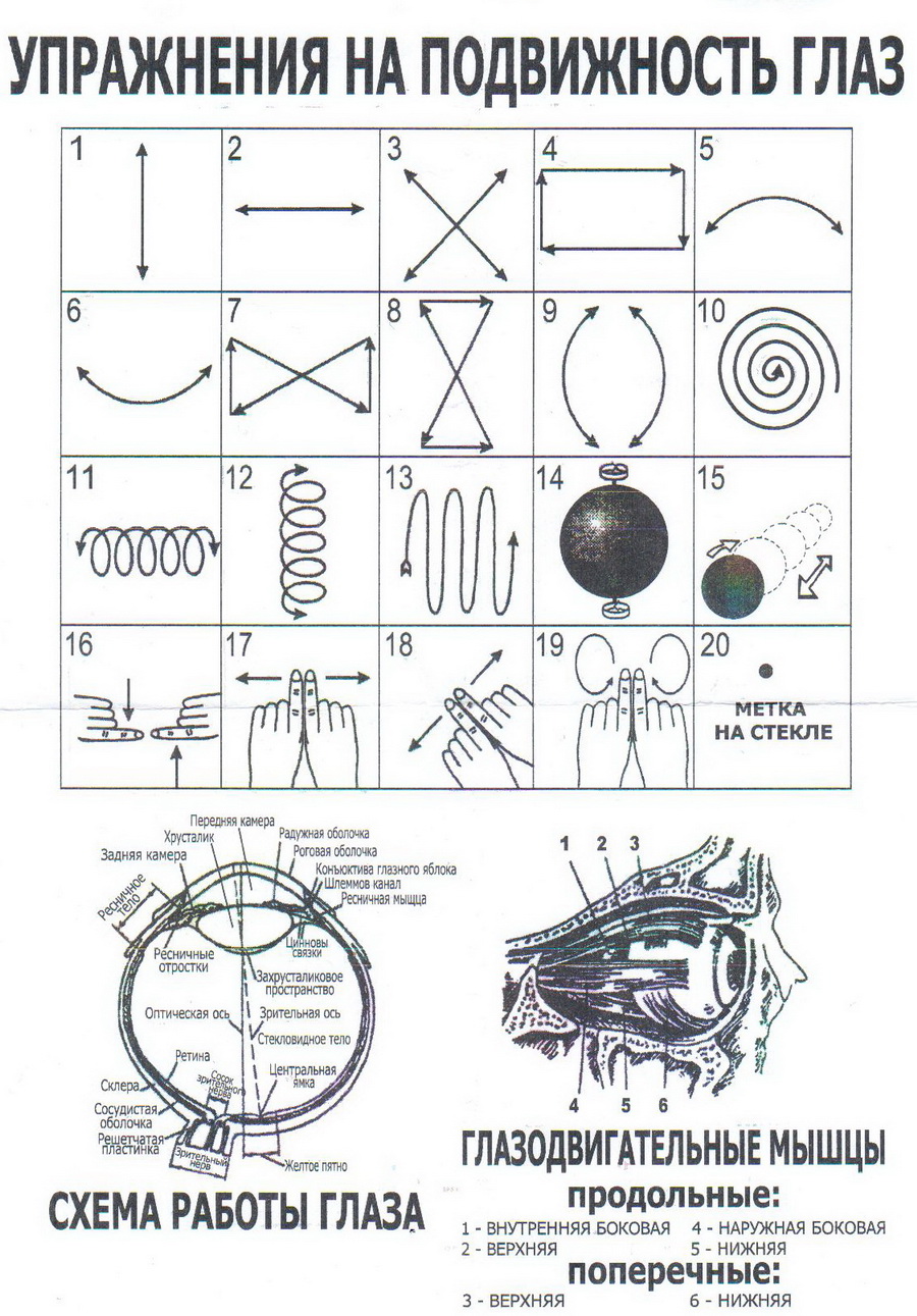 Упражнение 10
