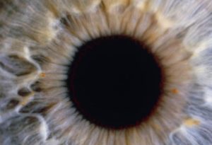 Сколько fps видит человеческий глаз