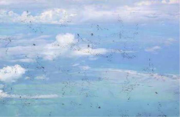 Почему летают черные точки в глазах