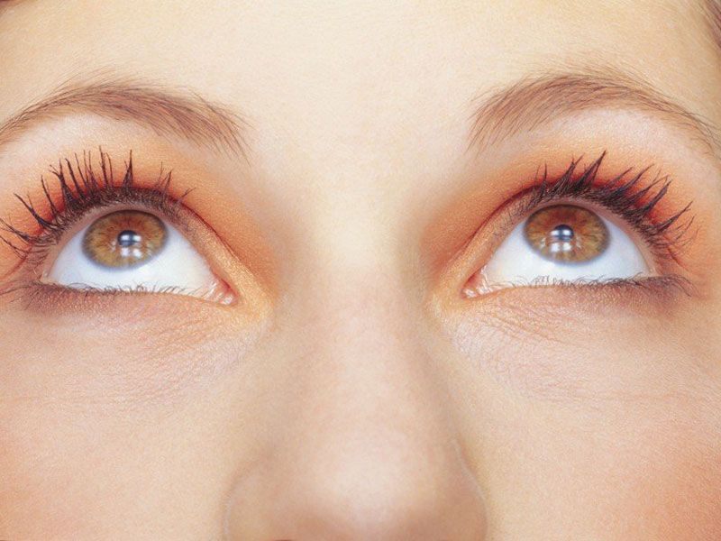 Профилактика