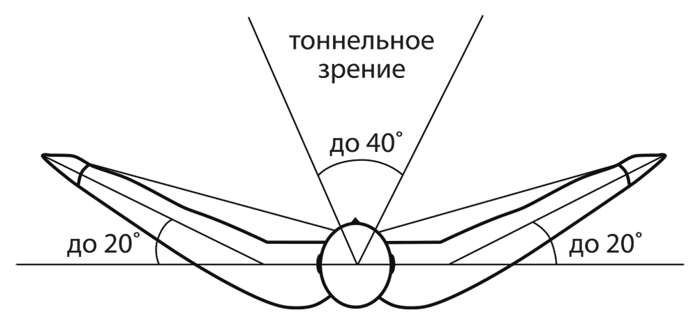 Боковое зрение