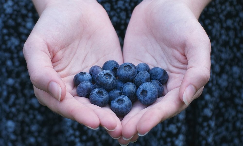 Польза черники для глаз и зрения