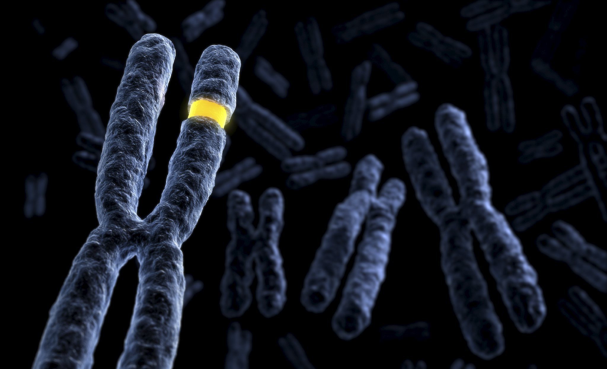 Что такое дальтонизм