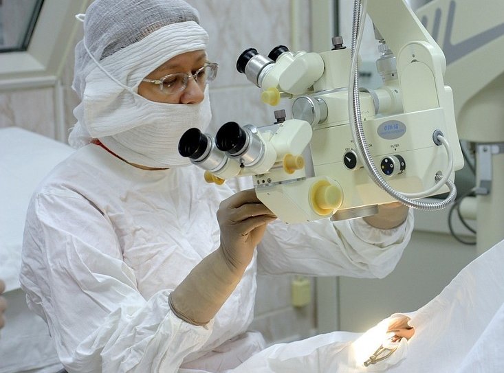 Где применяют аллопланты