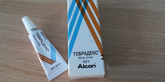 Глазная мазь Тобрадекс