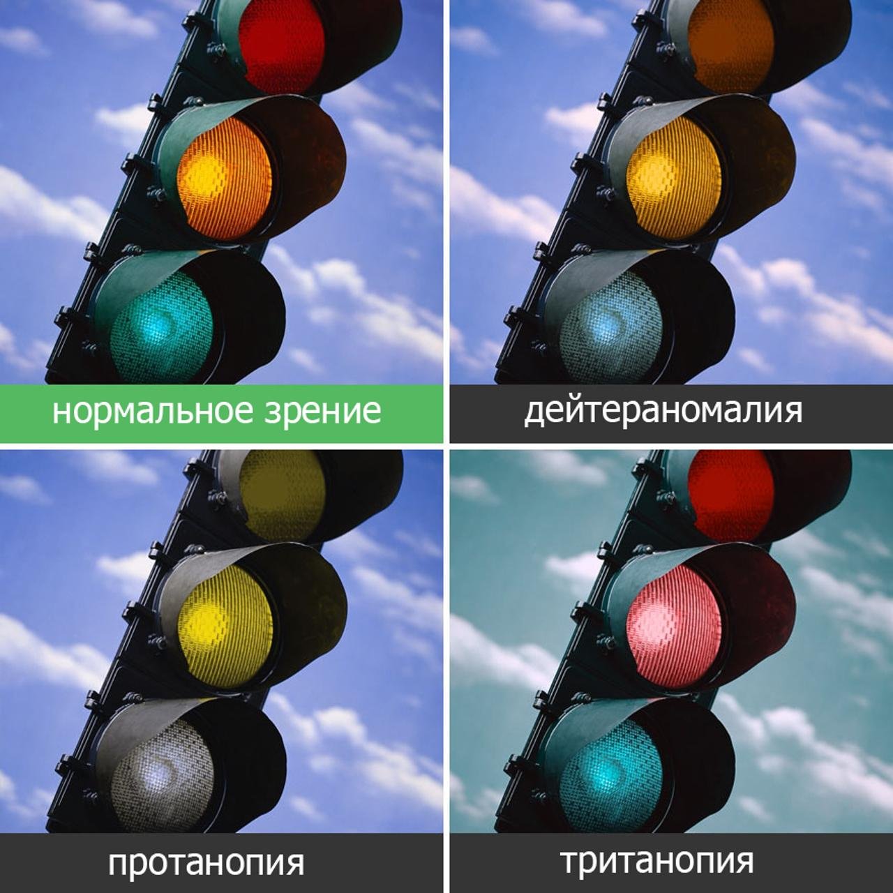 Протанопия