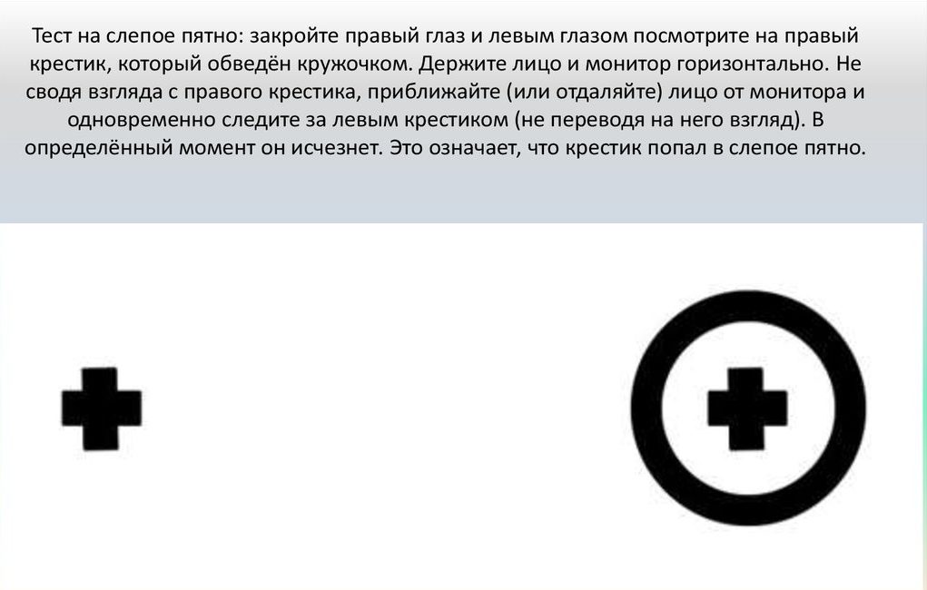 Слепое пятно глаза