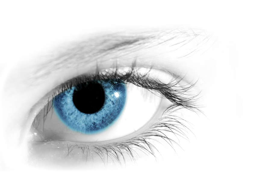 Сколько fps видит человеческий глаз