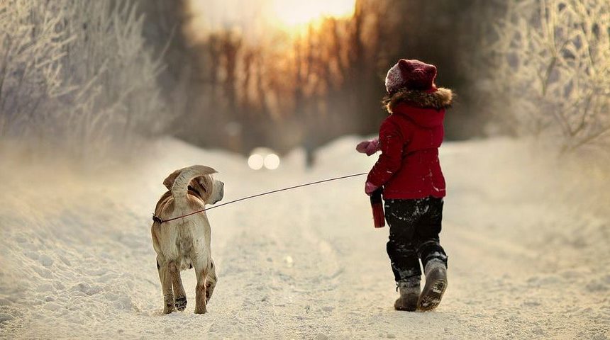 Можно ли гулять с ячменем на глазу