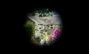 Что такое туннельное зрение