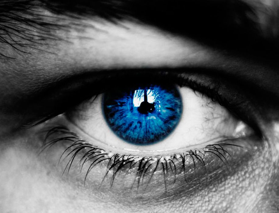 Назначение